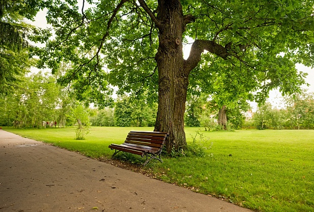 Отдых в Подмосковье летом